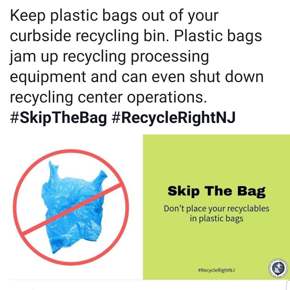recycle-skipthebag